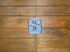 Stussy "Classic S" Pin