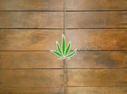 Good Worth & Co. ACCESSORIES Good Worth "Life Plant" Pin